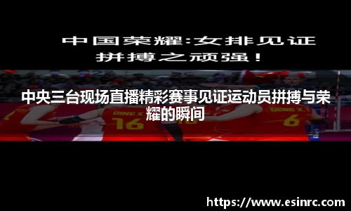 yy体育