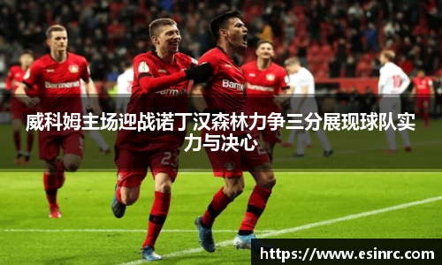 yy易游体育
